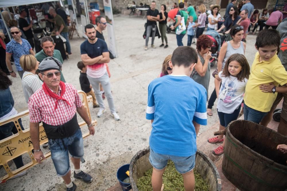 La Festa de la Verema del Bages