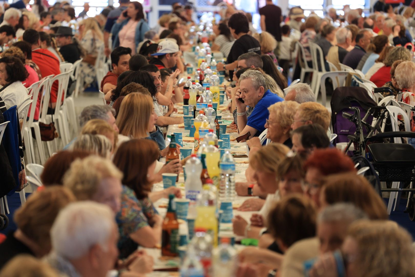 FOTOGALERÍA I Las imágenes de la sexta jornada (miércoles) de las fiestas patronales de Sant Pasqual en Vila-real