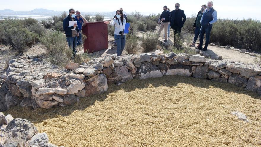 El Cabezo del Plomo, patrimonio arqueológico de Mazarrón que quiere ponerse en valor este año.