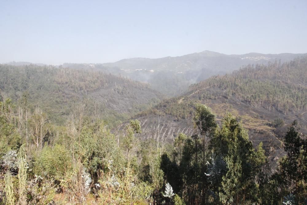 Incendios en Galicia | Segunda jornada de lucha contra el fuego en Cotobade