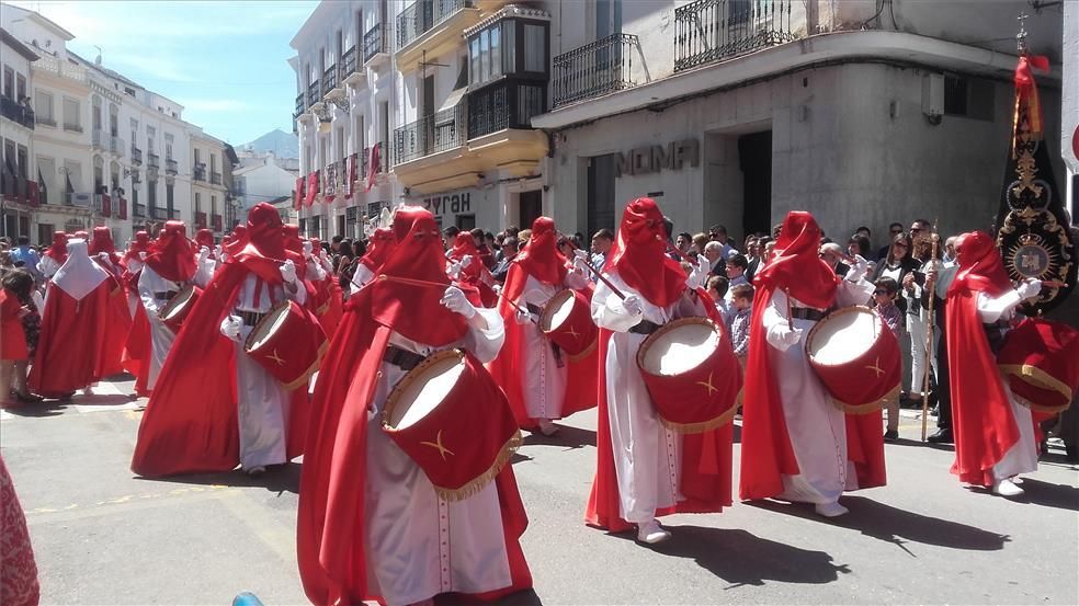 FOTOGALERÍA / El Domingo de Ramos en la provincia