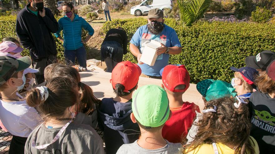 Almunos tinerfeños durante una de las actividades.