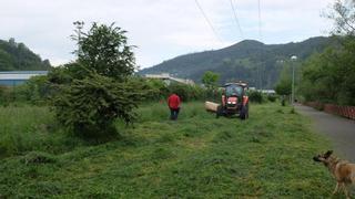 Contener la maleza en carreteras y sendas verdes le costará al Ayuntamiento de Mieres un millón de euros en cuatro años