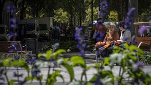 Uno de los ejes verdes, en plena floración.