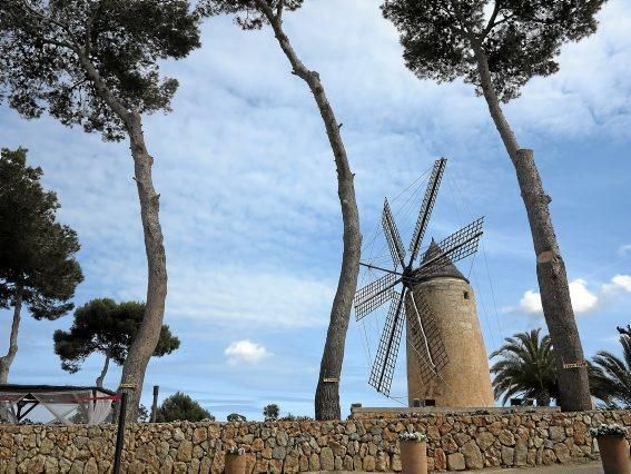 Sechs Schmuckstücke: Die Mühlen-Route auf Mallorca