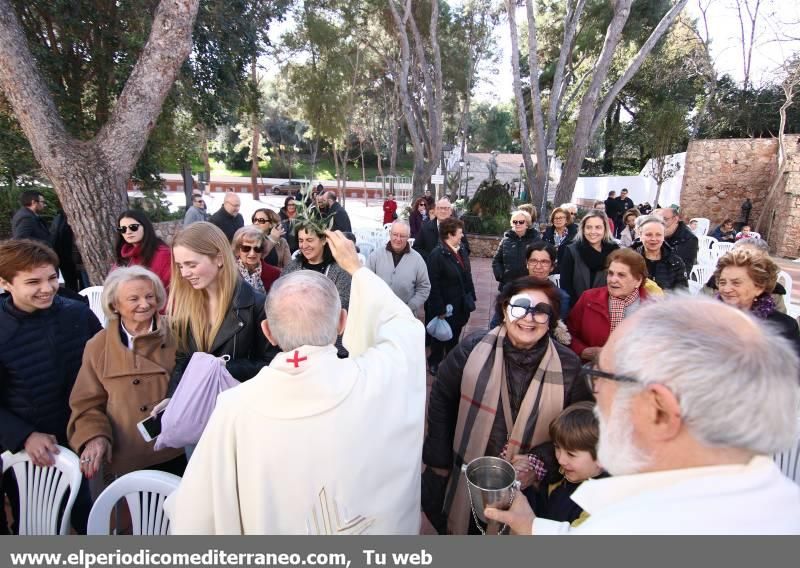 Sant Antoni en Vila-real