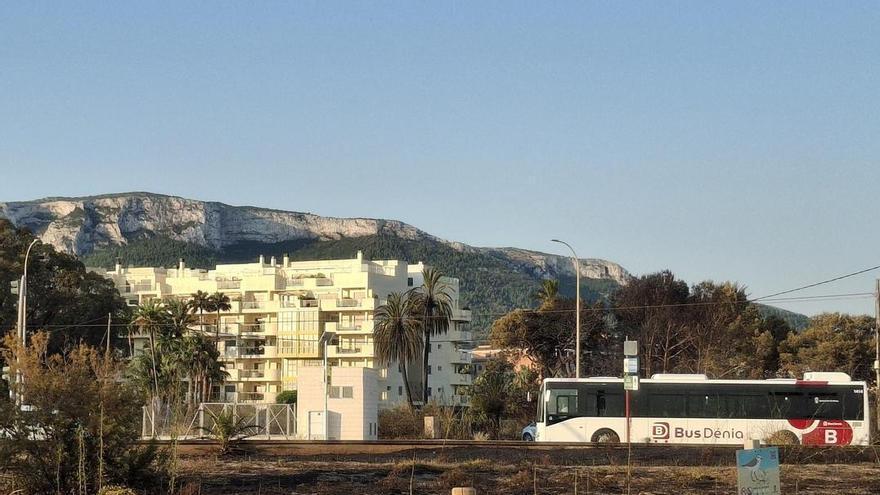 El autobús va sobre ruedas en Dénia: lo han utilizado 38.487 pasajeros desde su puesta en marcha el 15 de junio