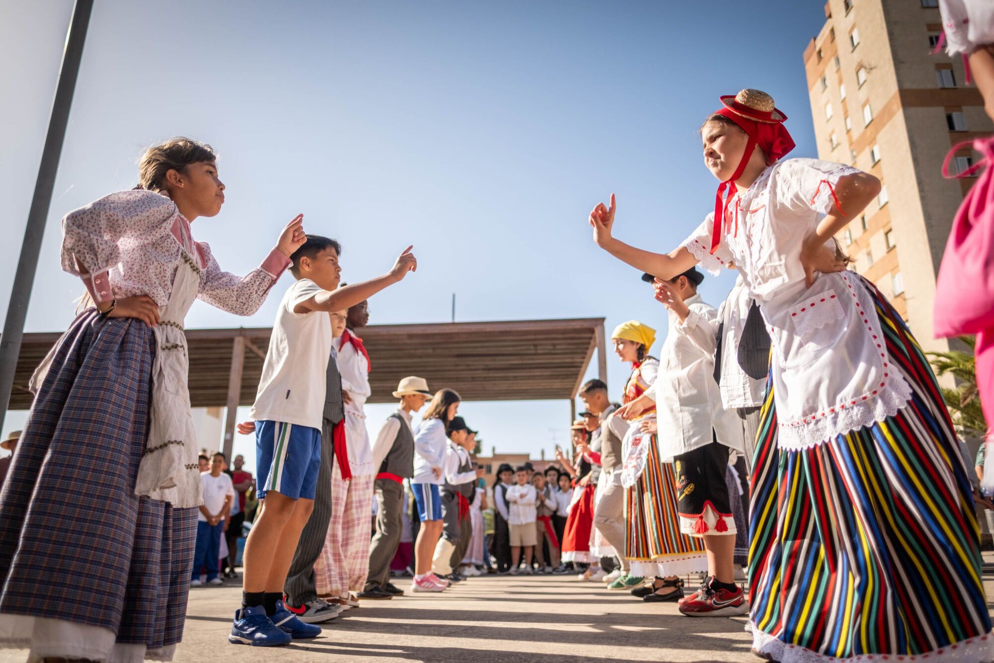 Paseo Romero del CEIP Los Dragos en Santa Cruz de Tenerife.