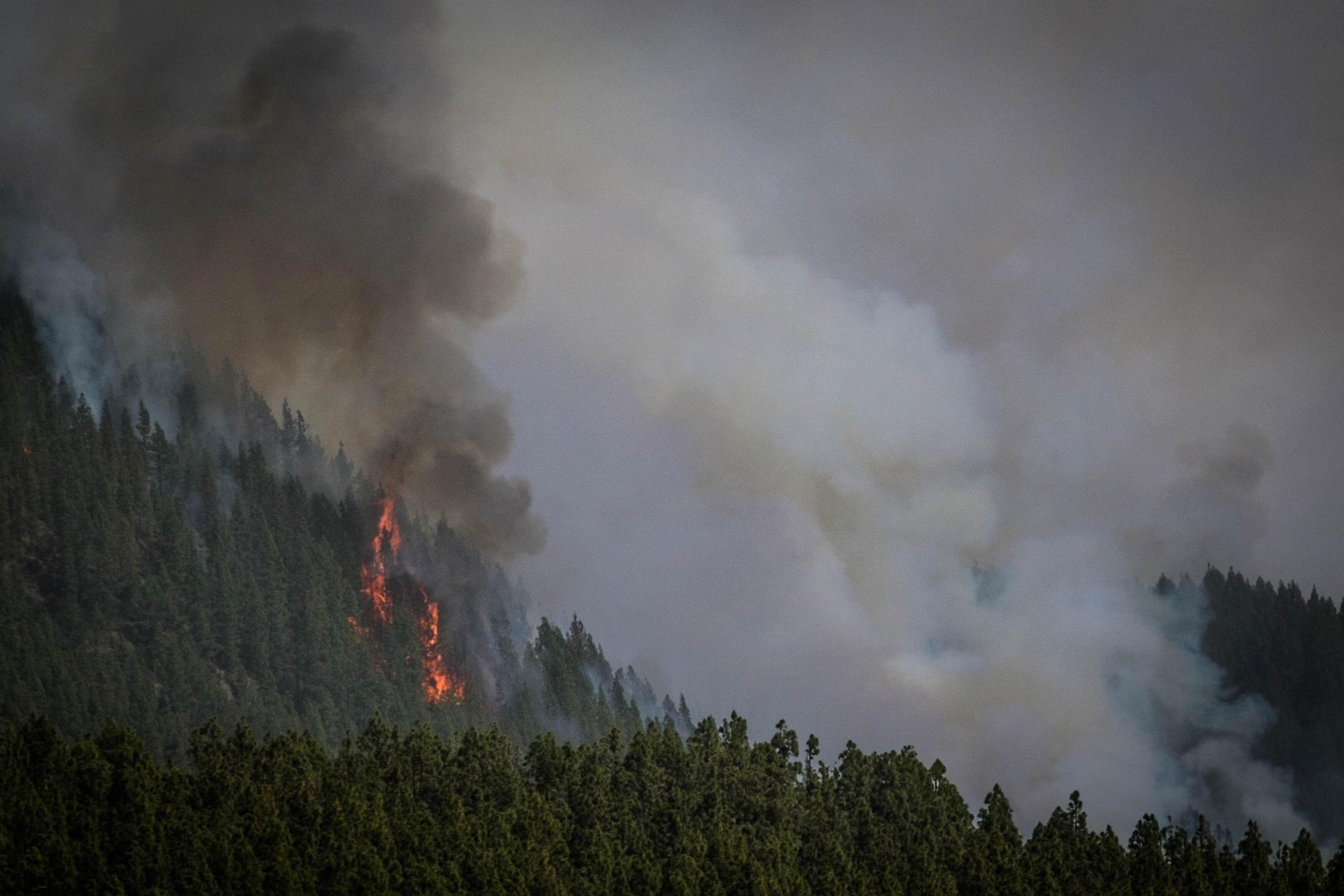 El incendio declarado en Los Realejos el pasado jueves afecta ya a cuatro municipios