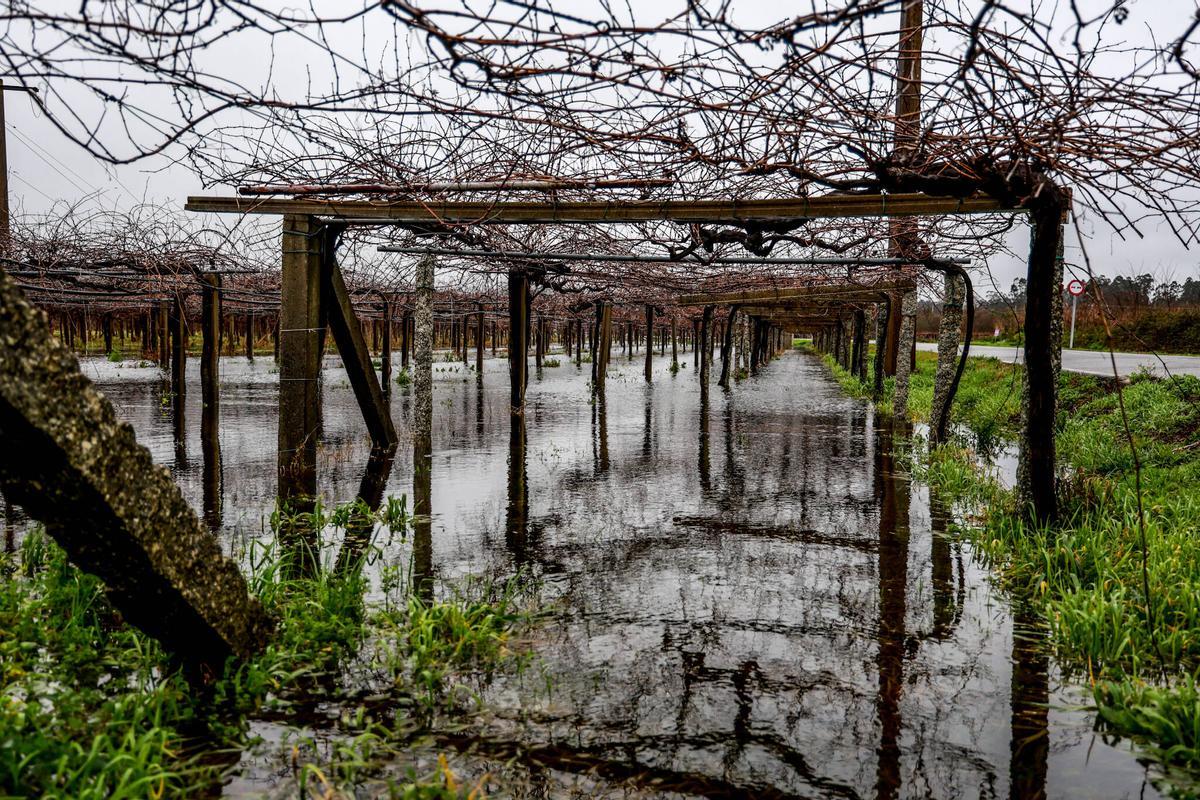 La subida del río Umia, en Meis y Vilanova, anegó terrenos agrícolas