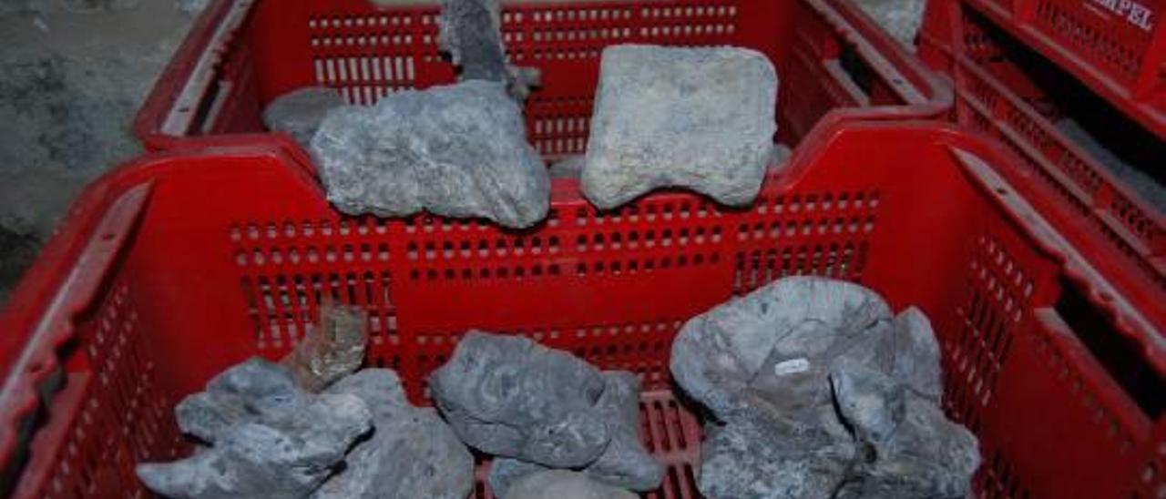 Castelló almacena más de 6.000 fósiles de dinosaurios por falta de espacio en museos