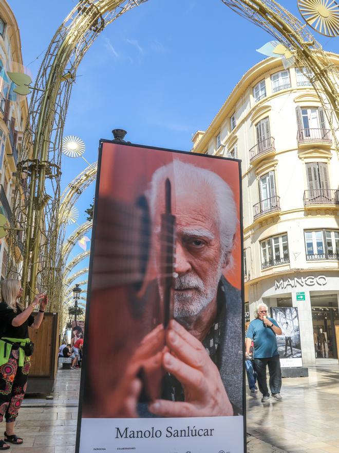 Fotos de la exposición 'Out Flamenco' de la calle Larios