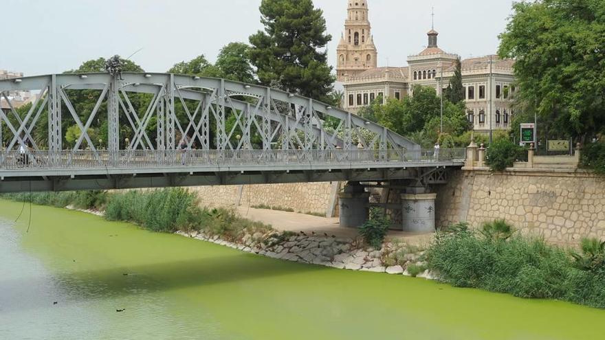 Imagen del río ayer a su paso por el centro de la ciudad de Murcia.