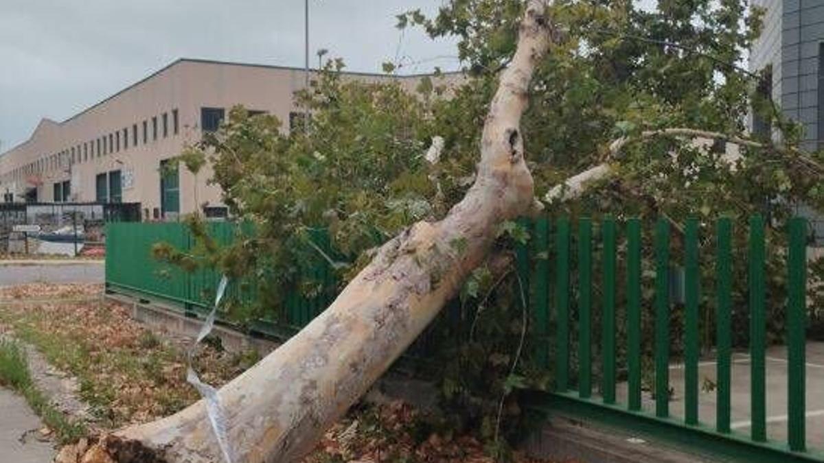 Aemet espera fuertes rachas de viento.