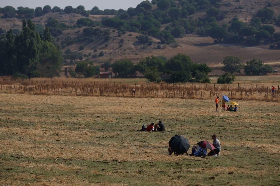 Fiestas en Zamora: Encierro en Venialbo