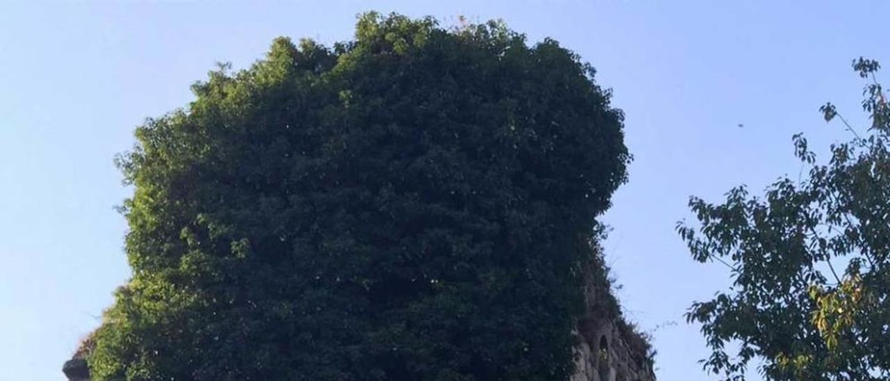 Concha Moncada, junto al torreón bajomedieval de Ludeña.