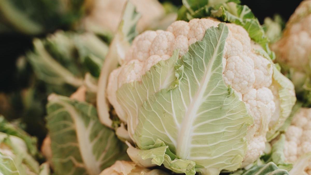 La coliflor es una buena aliada de las dietas para adelgazar