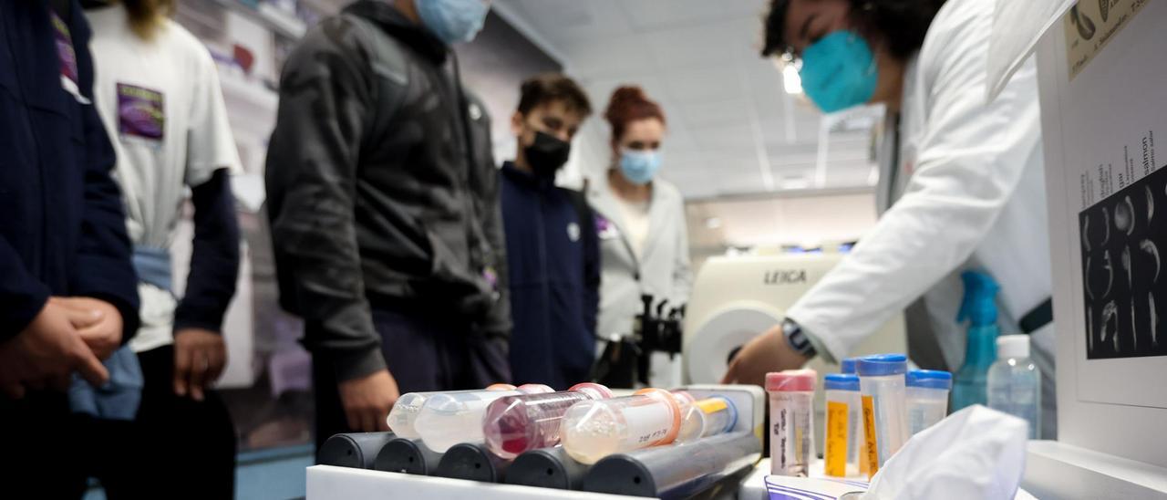 Una clase en la Facultad de Medicina de la Universidad Miguel Hernández (UMH) de Elche.