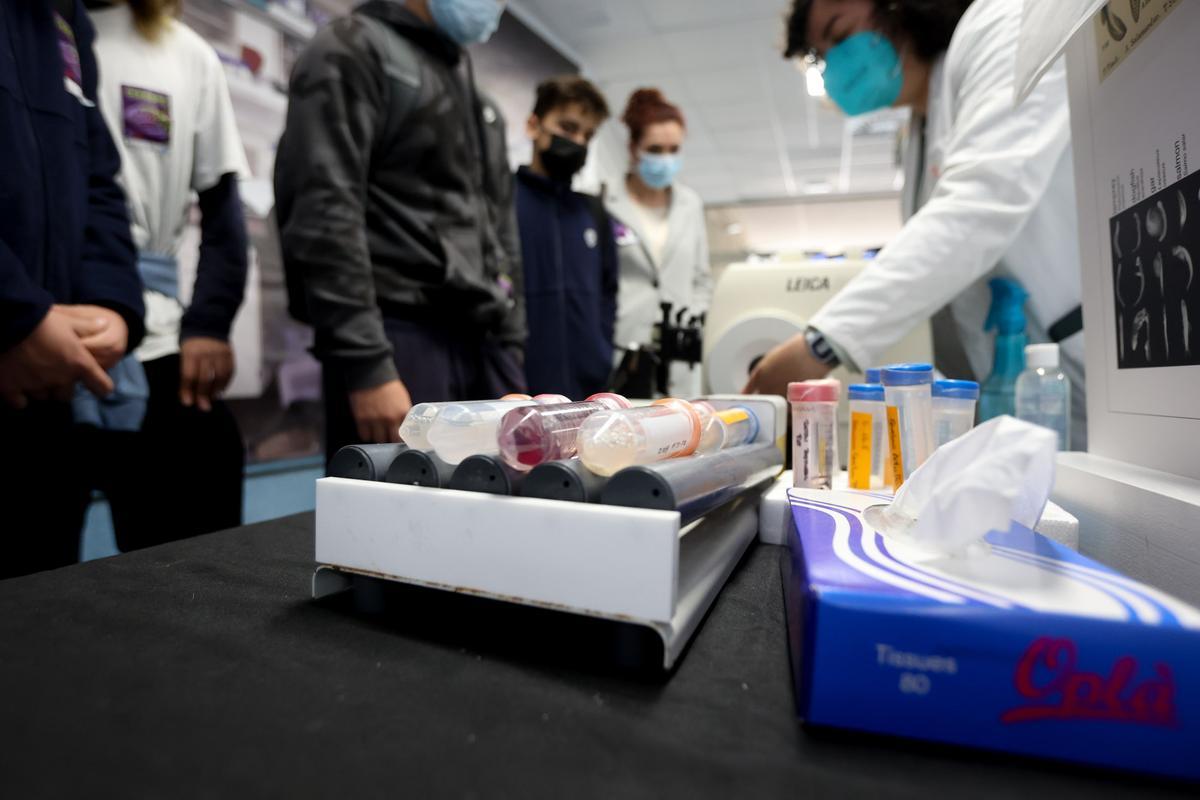 Una clase en la Facultad de Medicina de la Universidad Miguel Hernández (UMH) de Elche.