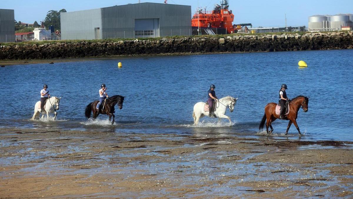 Amazonas en la ruta caballar por la playa de Compostela.