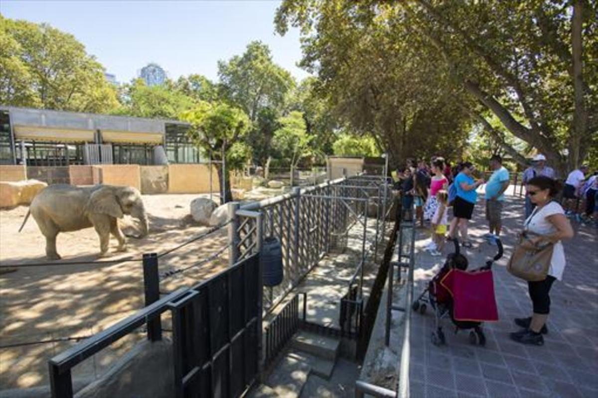Visitantes del Zoo ante la zona reservada a los elefantes.