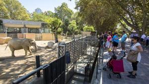 Visitantes del Zoo ante la zona reservada a los elefantes.