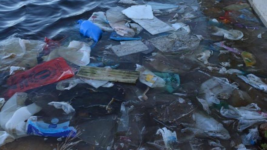 Acumulación de bolsas de plástico en uno de los embalses de la zona de Arico