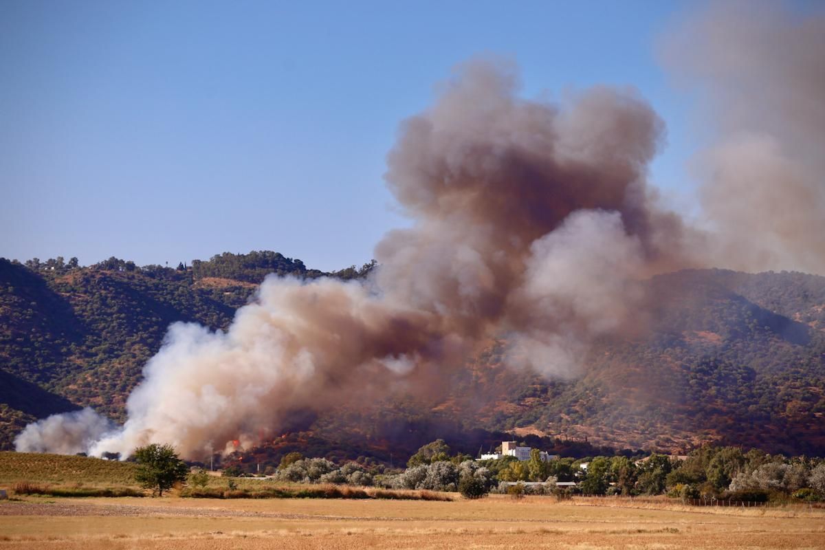Incendio forestal junto al Castillo de la Albaida