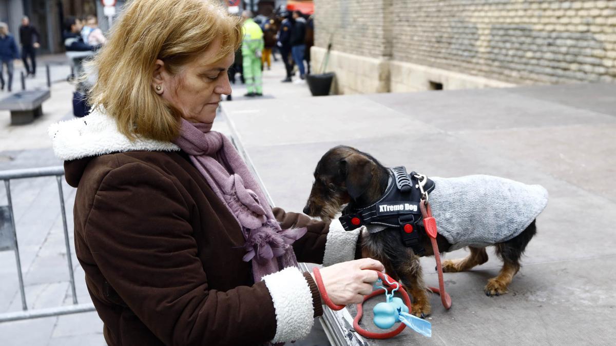 Los zaragozanos acuden a la parroquia de San Antón para la tradicional bendición de sus animales