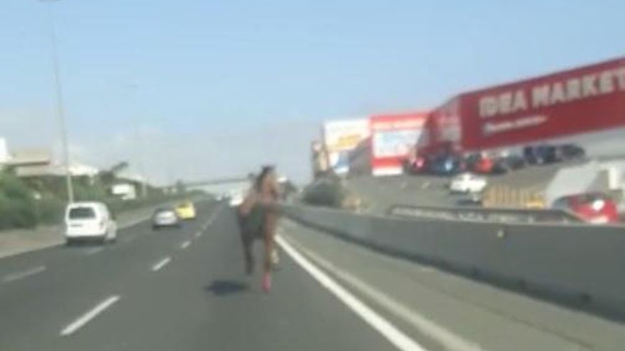 Un caballo se escapa y sorprende a los conductores de la GC-1