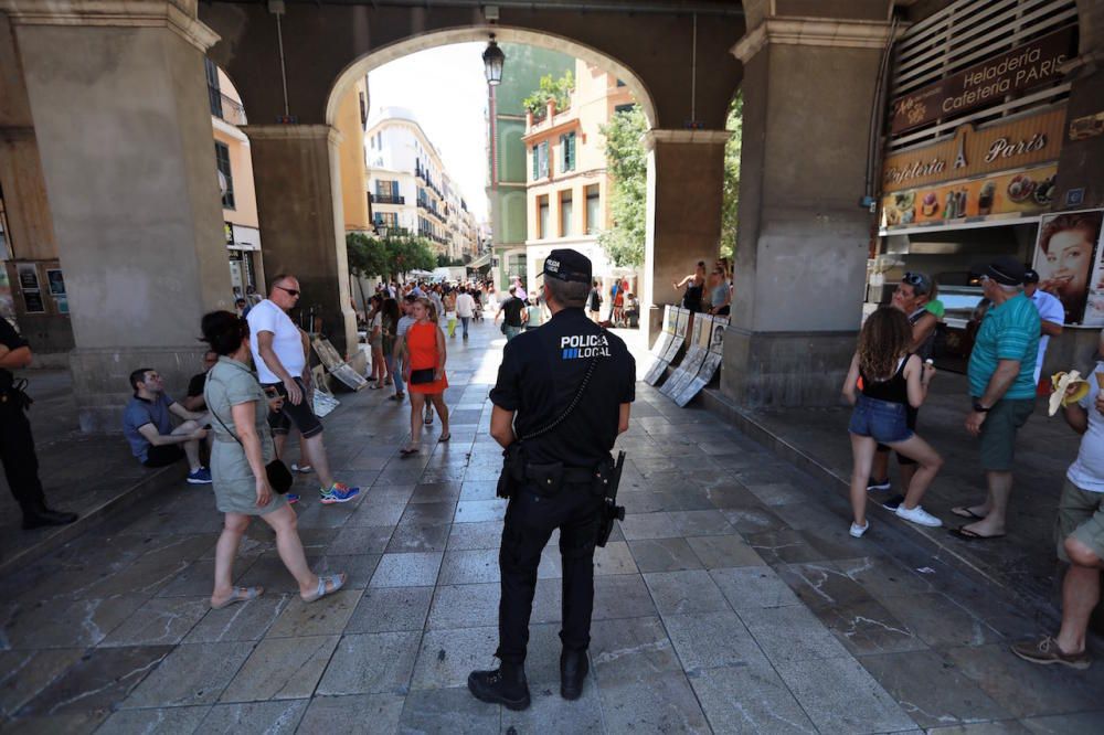 Am Freitag (18.8.) wurden im Zentrum von Palma de Mallorca Betonbarrieren und schwere Blumenkübel als Anti-Terror-Schutz in Position gebracht.