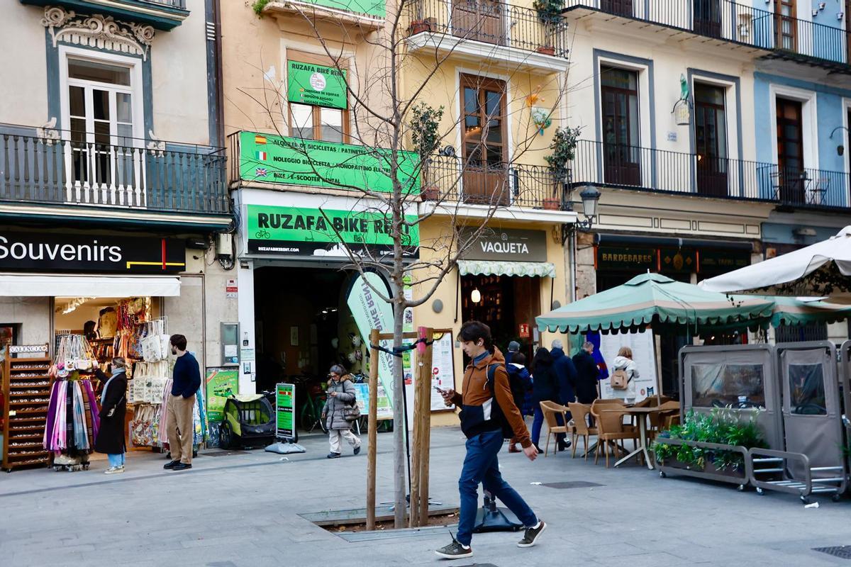Árboles plantados en el centro de València
