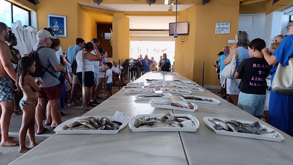 Un momento de una de las subastas de pescado realizada esta semana en la lonja de El Campello (Alicante)