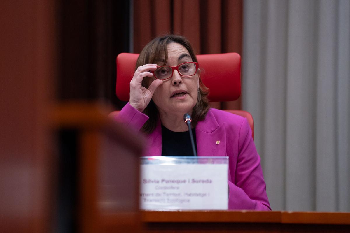 La titular de la Conselleria de Territori y portavoz del Govern, Sílvia Paneque, este miércoles en la comparecencia del Parlament para hablar de Rodalies.