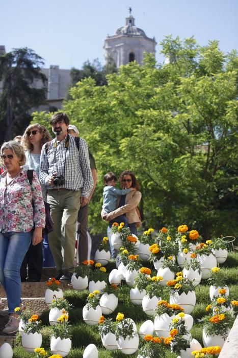 Últim dia de Temps de Flors