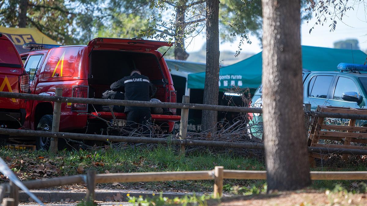 La UME se despliega para contener el brote de peste porcina