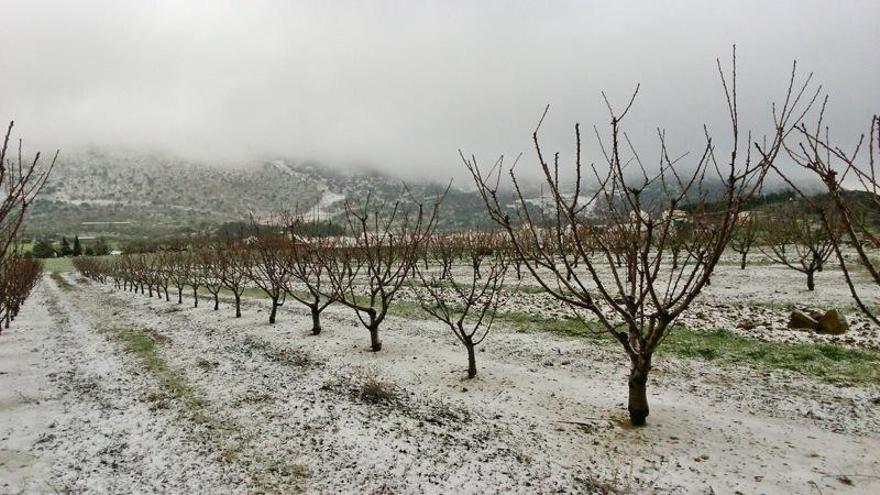 La provincia de Málaga se cubre de nieve