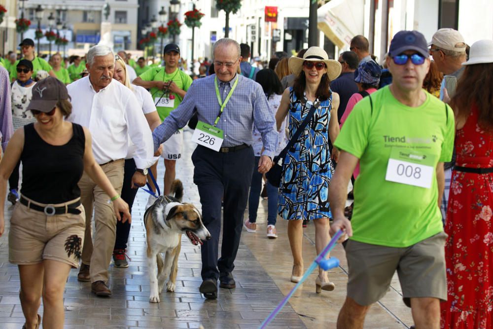 La carrera, con salida y llegada en la plaza de la Marina, ha recorrido la calle Larios, Alcazabilla y calle Granada ante la sorpresa e interés de vecinos y turistas.