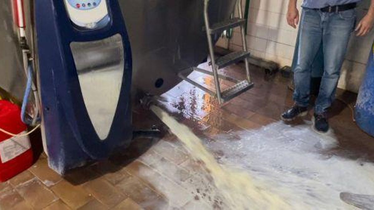 Un ganadero derrama la leche de su explotación.