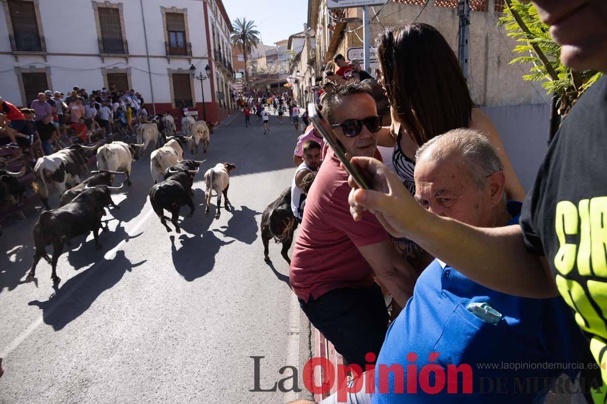 Último encierro en las Fiestas de Moratalla