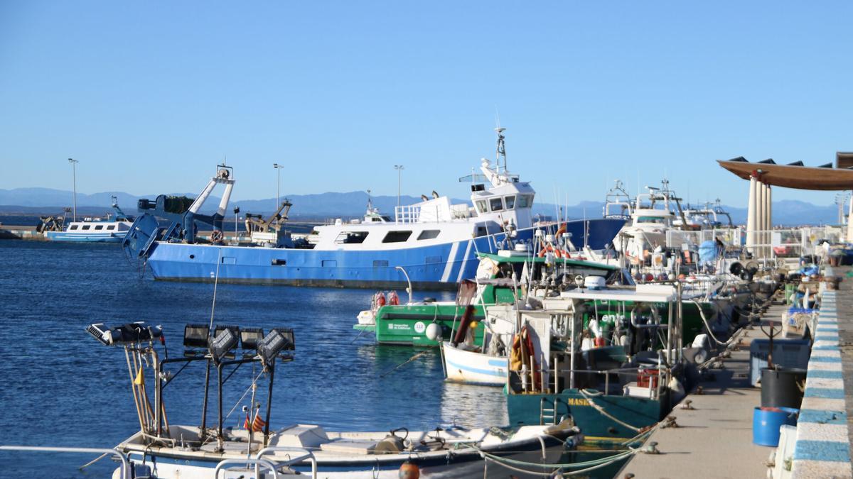 Embarcaciones pesqueras en el puerto de Roses.