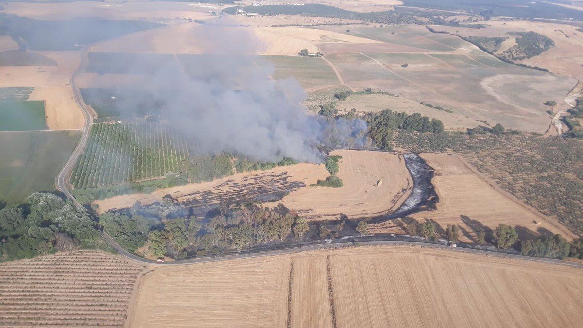 Controlado el incendio forestal en Almodóvar del Río