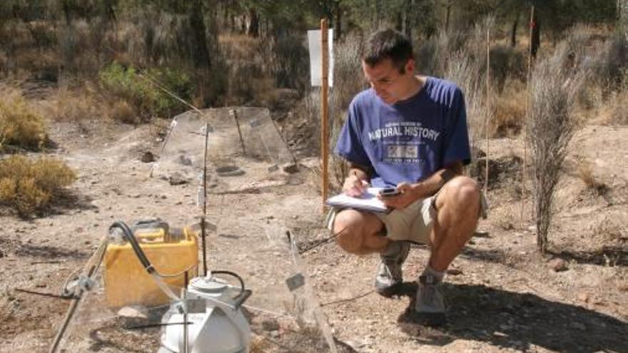 Maestre en una investigación de las zonas áridas del Alto Vinalopó.