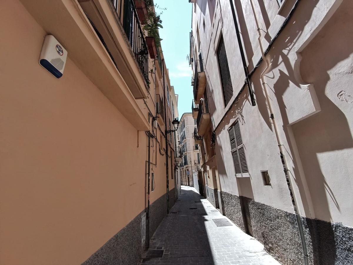 Calle Sant Andreu, en Palma, donde se ha precipitado el joven esta madrugada.