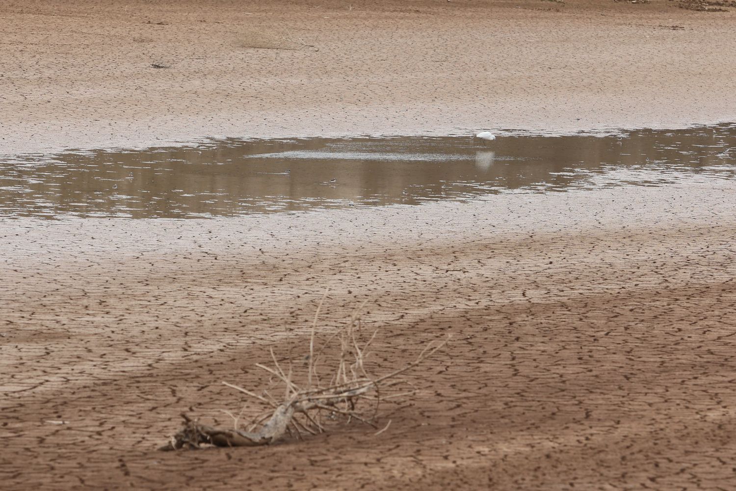 El pantano de María Cristina, prácticamente sin agua