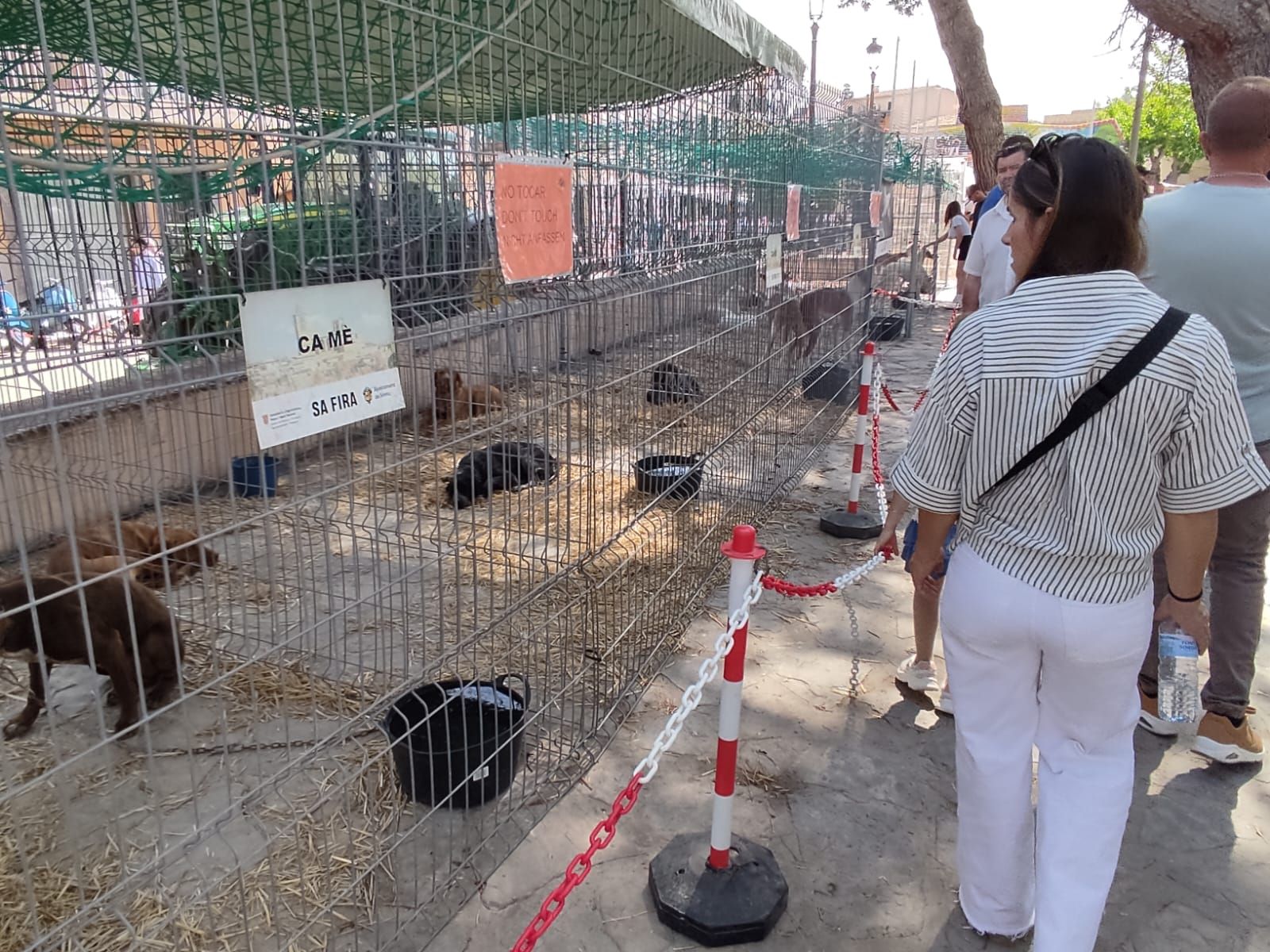 La Fira de Sineu, en imágenes