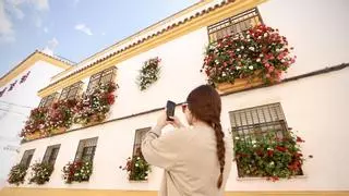 Estas son las mejores Rejas y Balcones de Córdoba en 2026: el concurso ya tiene ganadores