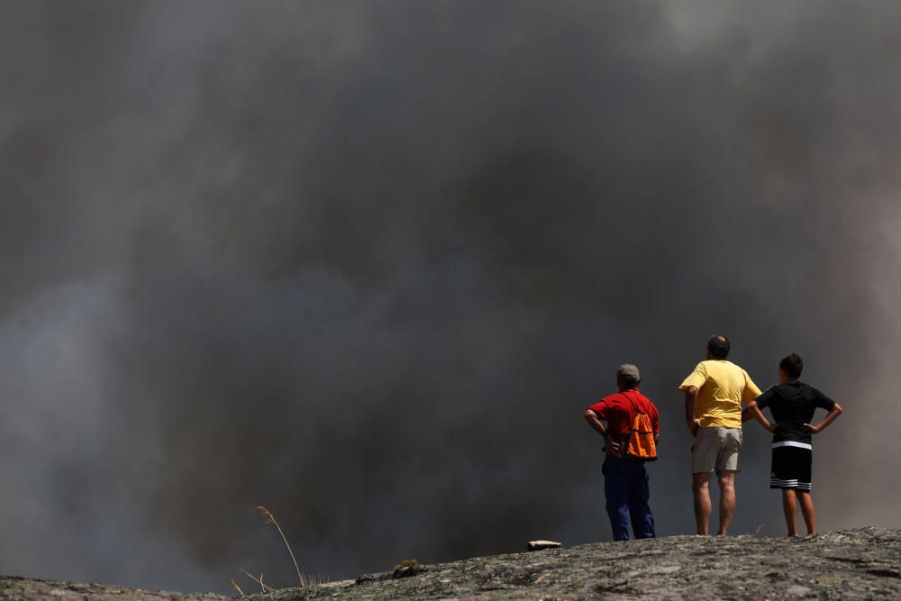 Incendio Pino del Oro y Castro de Alcañices