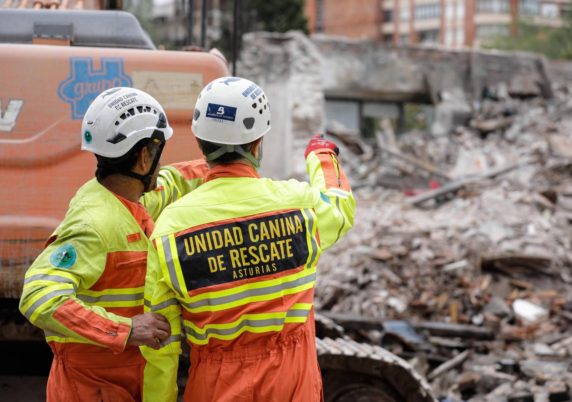 El entrenamiento de la Unidad Canina de Rescate del Principado en Gijón, en imágenes