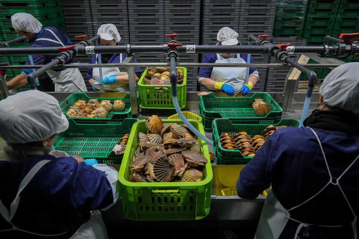 Imagen de archivo de la línea de producción de Porto de Cambados.